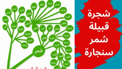 شجرة قبيلة شمر سنجارة