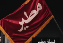 شجرة مطير