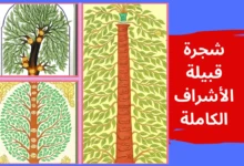 شجرة قبيلة الأشراف الكاملة