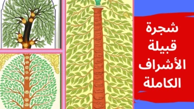 شجرة قبيلة الأشراف الكاملة