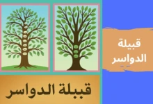 قبيلة الدواسر