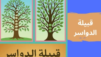 قبيلة الدواسر