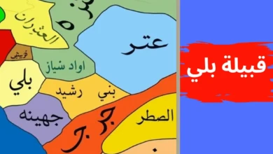 قبيلة بلي