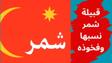 قبيلة شمر نسبها وفخوذه