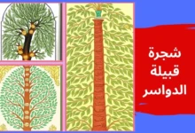 شجرة قبيلة الدواسر
