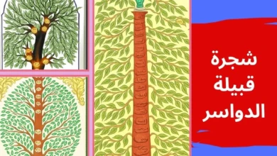 شجرة قبيلة الدواسر
